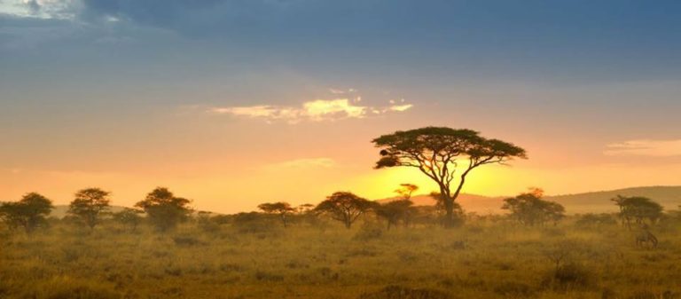 Africa