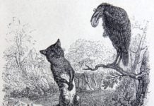 Il corvo e la volpe, favola di Esopo