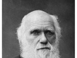 Charles Darwin e la teoria dell'evoluzione