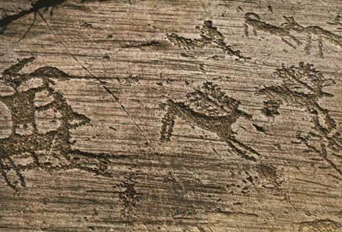 Atre preistorica in Italia. Caccia al cervo 8mila anni fa, incisione rupestre, Val Camonica