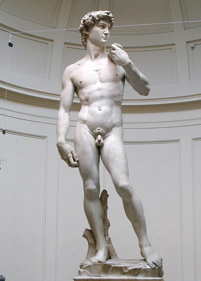 Il David di Michelangelo: storia e descrizione dell'opera