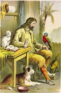 crusoe e poll
