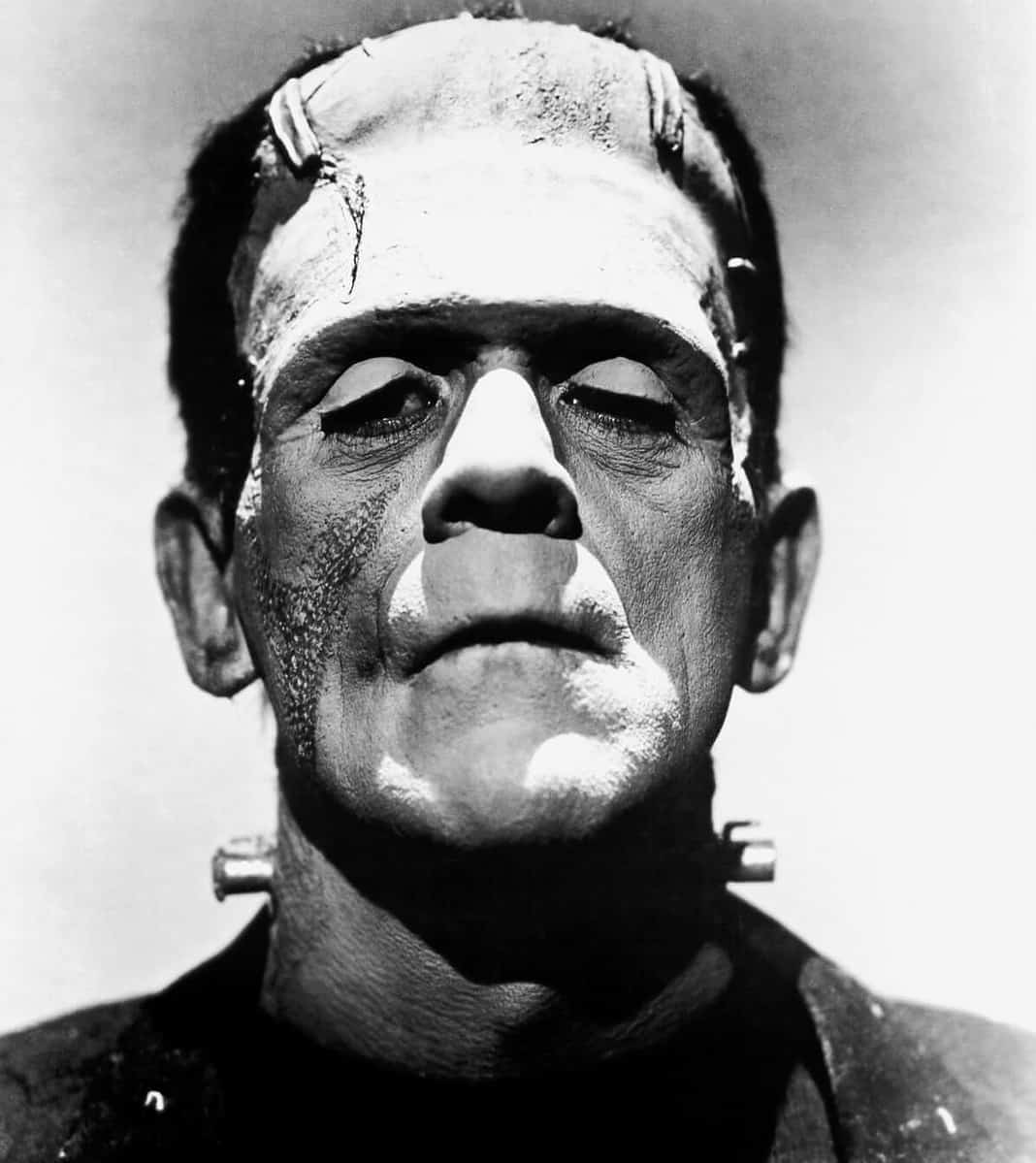 Frankenstein di Mary Shelley, riassunto e analisi