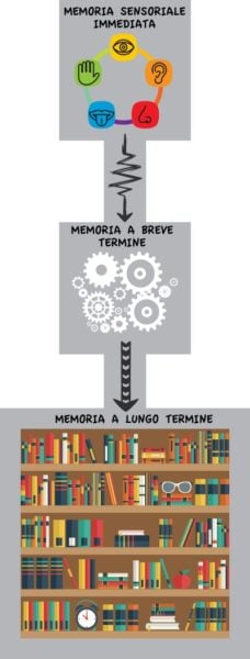 Memoria a breve termine e memoria a lungo termine