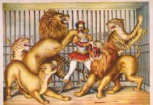 il circo equestre