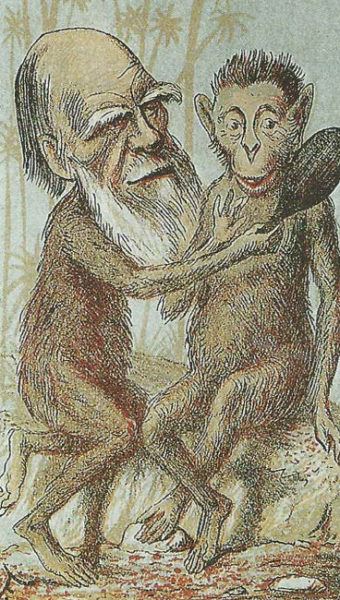 origine della specie