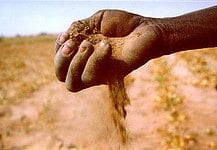 La desertificazione: cause e conseguenze