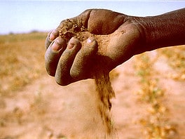 La desertificazione: cause e conseguenze