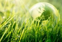 La tutela dell'ambiente in Italia