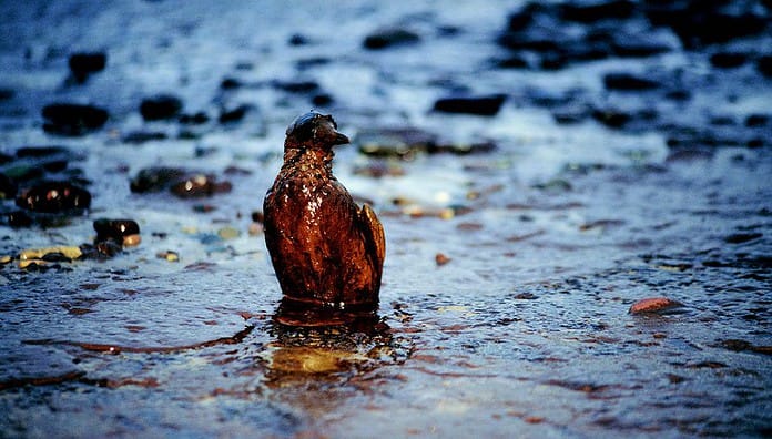 inquinamento dell'acqua o inquinamento idrico