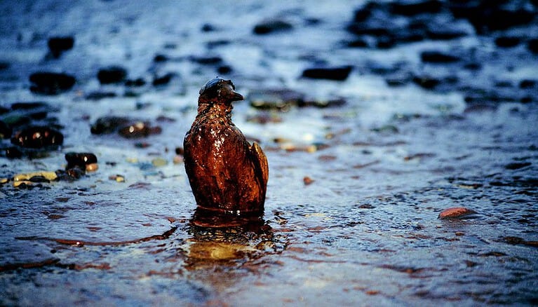 inquinamento dell'acqua o inquinamento idrico