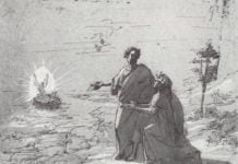 Canto 2 Purgatorio riassunto e commento