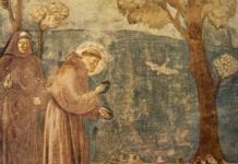 Paradiso Canto 11. Riassunto e commento