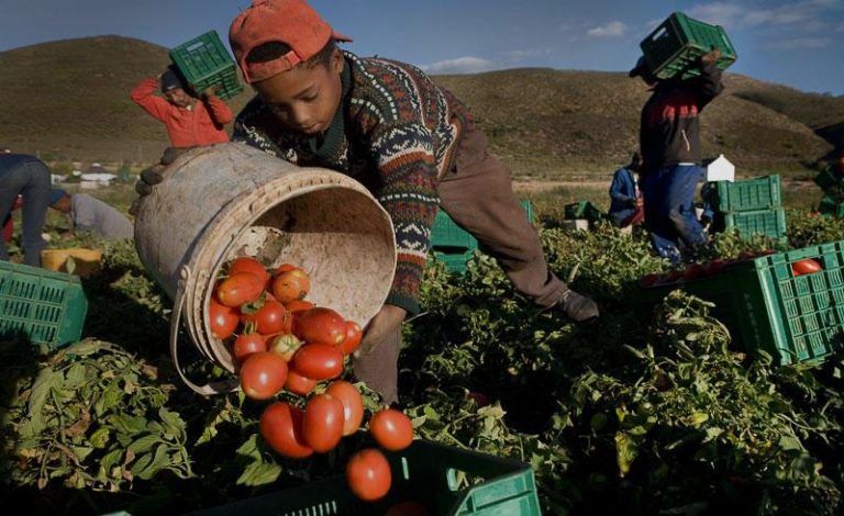 Lavoro minorile: perché è così diffuso e come combatterlo