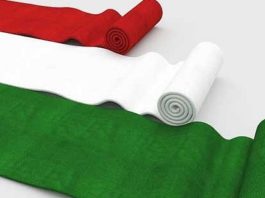 Come si acquista la cittadinanza italiana