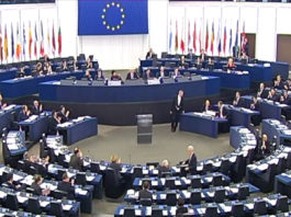 Gli organi dell'Unione europea e le loro funzioni