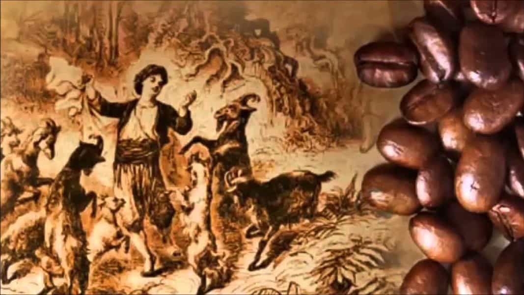 Le origini del caffé: storia e leggenda