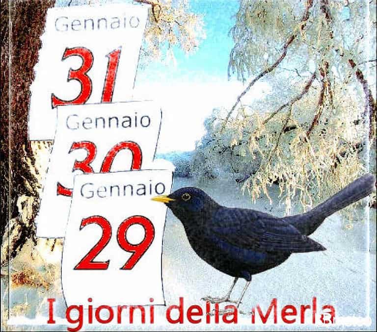 Giorni della merla quali sono e perché si chiamano così