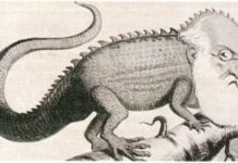 Il trasformismo di Agostino Depretis, riassunto