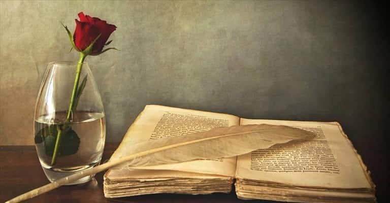 Il Purismo linguistico, riassunto