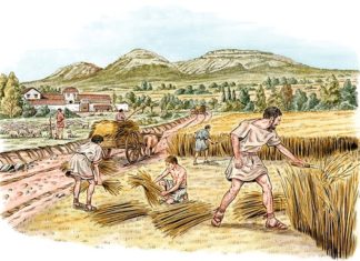 Leggi agrarie romane in età repubblicana