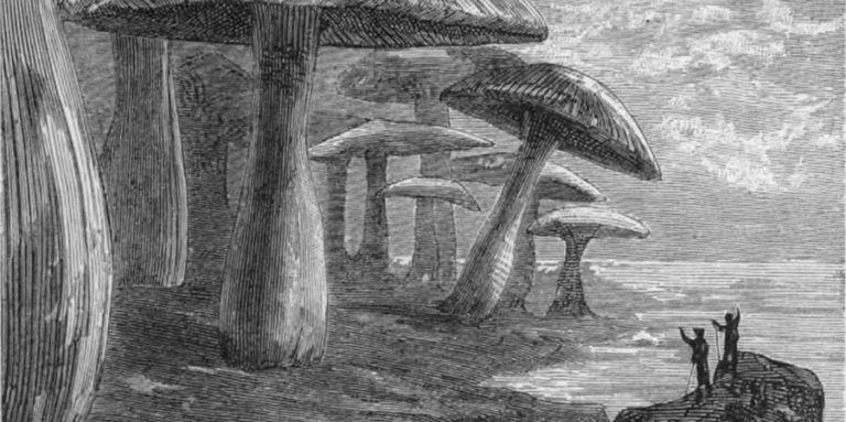 Viaggio al centro della Terra, di Jules Verne