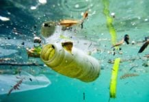 testo argomentativo sull Inquinamento del mare: tema svolto di Italiano