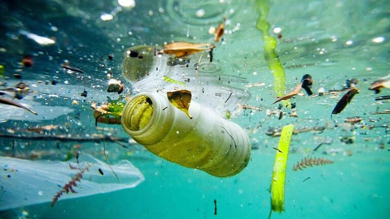 testo argomentativo sull Inquinamento del mare: tema svolto di Italiano