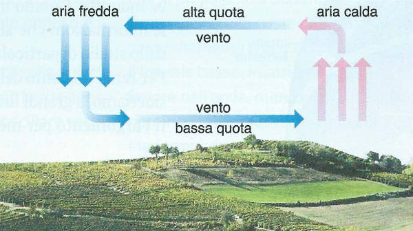 I venti: come si formano e tipologie