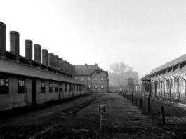Campi di concentramento: storia e descrizione
