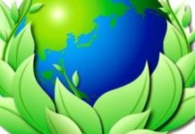Vivere a impatto zero: cosa significa, consigli utili