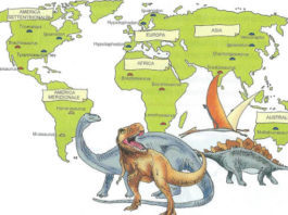 Dinosauri: specie, caratteristiche, estinzione