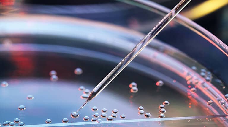 Cellule staminali: cosa sono, quanti tipi, dove si trovano