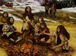 Uomo di Neanderthal caratteristiche