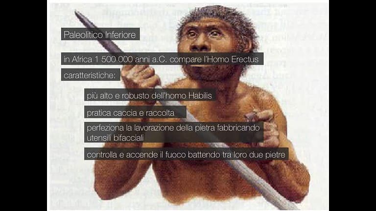 Paleolitico inferiore, descrizione [video]