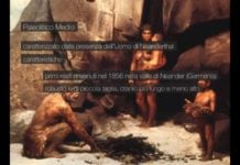 Paleolitico medio: l'uomo di Neanderthal