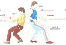 La forza in Fisica: definizione, esempi, caratteristiche, misura