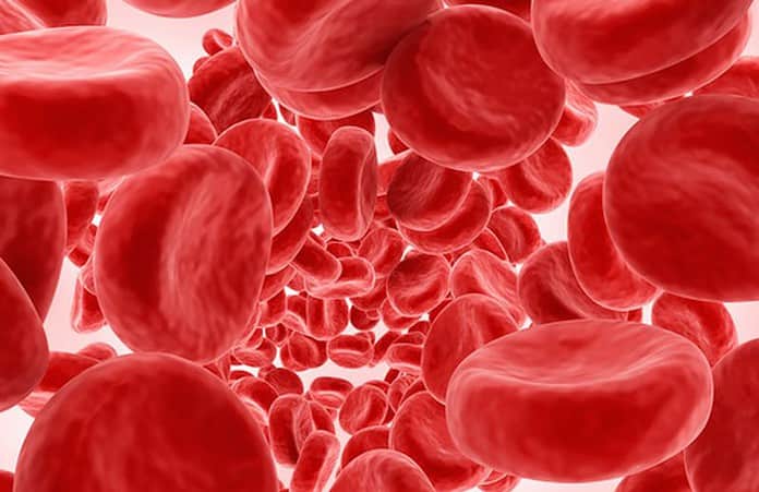Composizione del sangue e funzioni