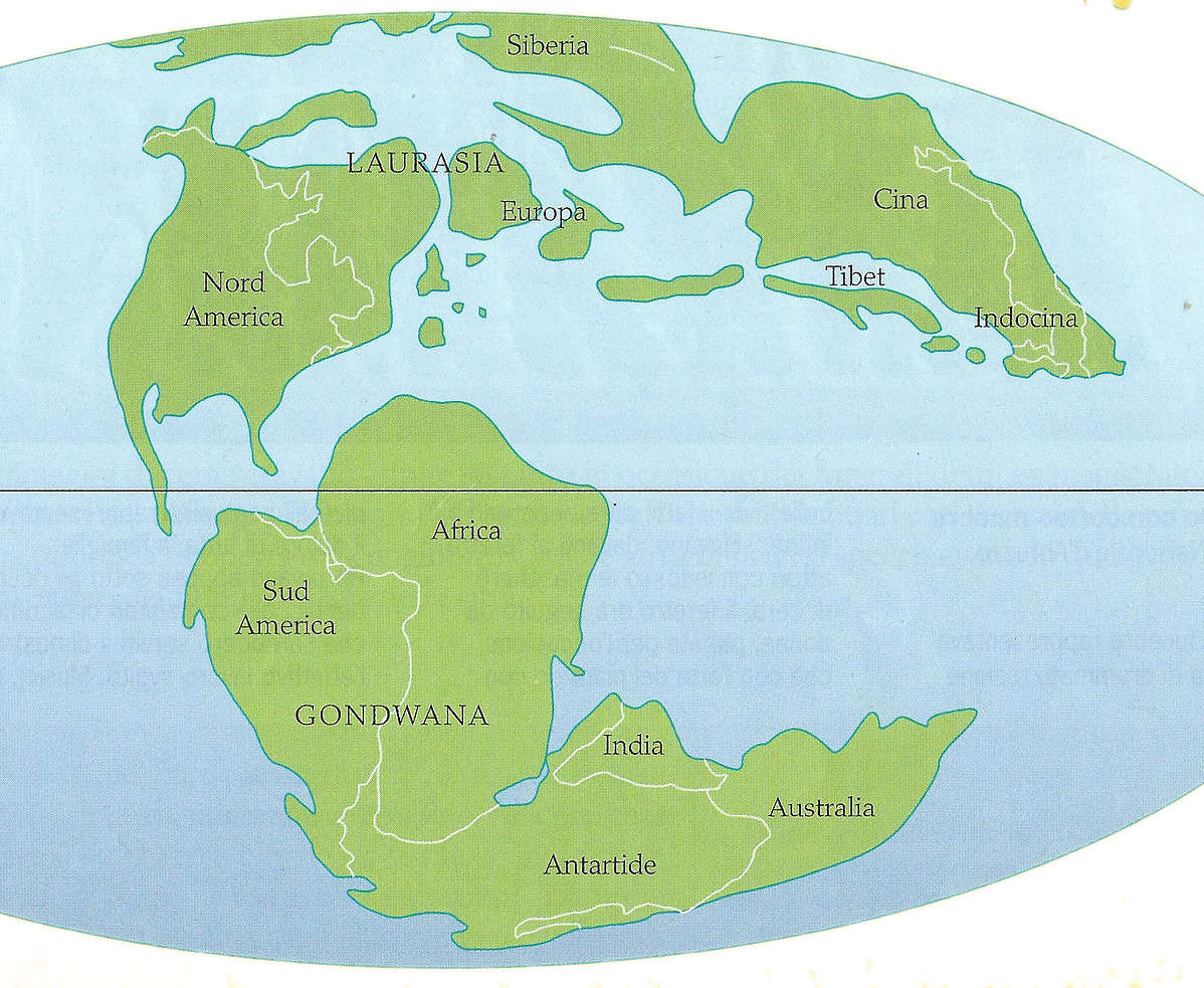 Come Si E Formata L Italia Storia geologica dell'Italia: quando e come si è formata - Riassunti
