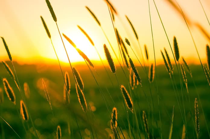 Nulla di nuovo sotto il Sole