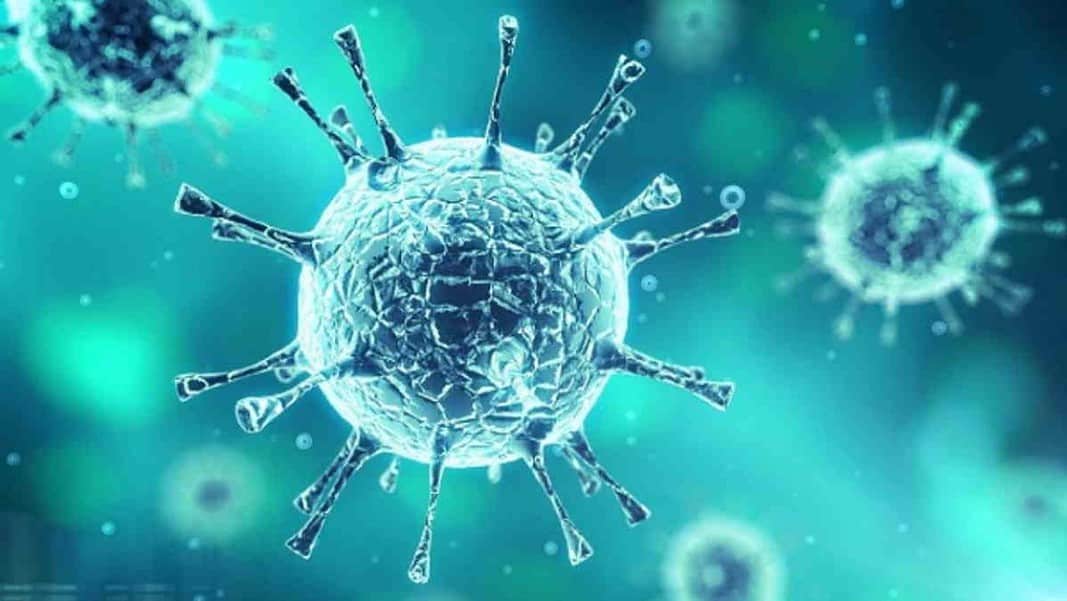 i virus