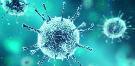 i virus