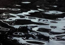 Il petrolio riassunto