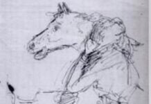 cavallina storna