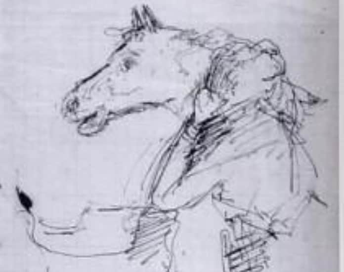 cavallina storna