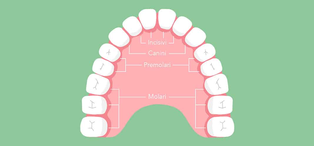 denti
