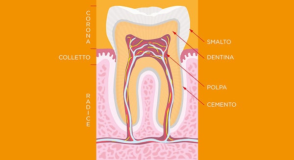 denti