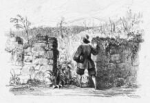 la vigna di renzo