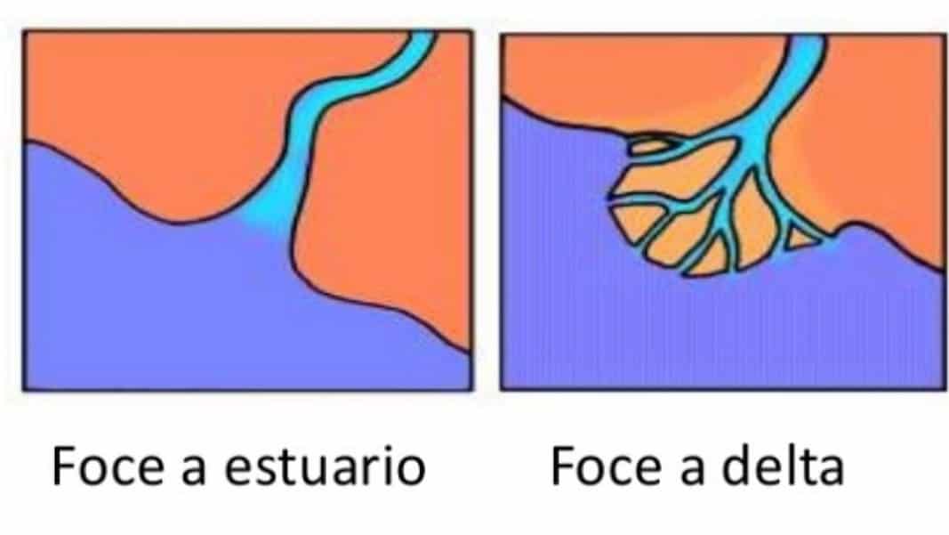 foce a delta e foce a estuario