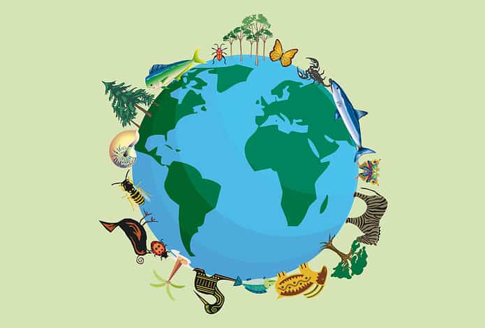 la biodiversità
